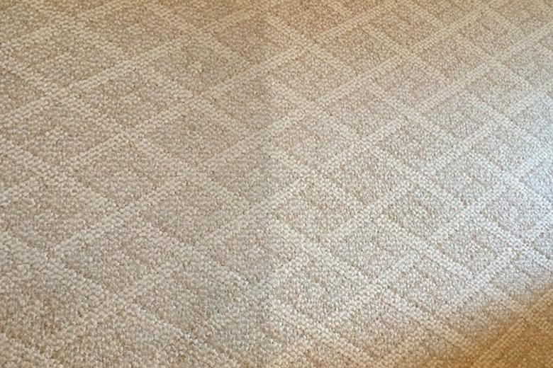 Spot Plus Carpet Care - Carpet cleaning 'before and after' photo