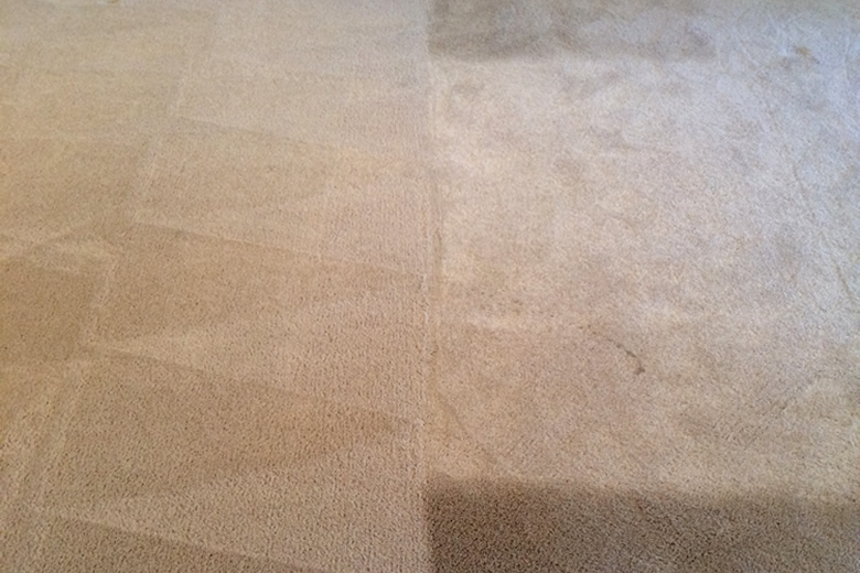 Spot Plus Carpet Care - Carpet cleaning 'before and after' photo