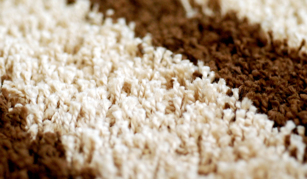 Spot Plus Carpet Care - Certified, experienced, professional carpet cleaners in Springfield, MO.